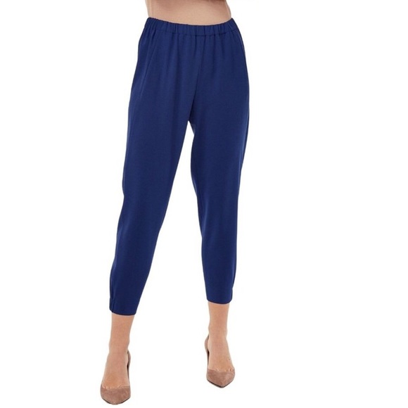 Babaton Pants - Aritzia Babaton Dexter pants